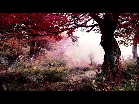 RAINING SOUND:  Music and White Noise for sleeping BLACK SCREEN after 10 min