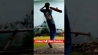 Cricket Pull Shot Practice #Cricket #ViralCricketShorts #YTCricketshorts #CricketShorts #YtShorts