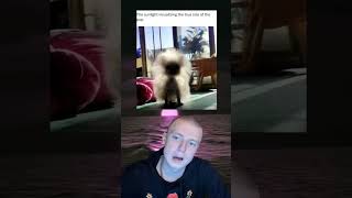 #memes #memestagram #memesdaily #funnymemes #viral #shorts #trending #funny