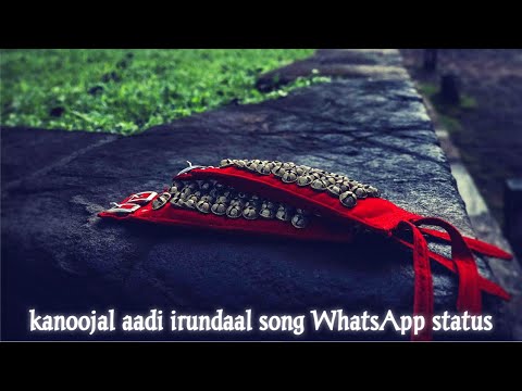 KANNOONJAL AADI IRUNDHAL||HD|| Whatsapp Status ||2022||