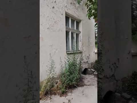 13. jul 2025.