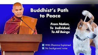 Buddhists Path to Peace | From Nation, to Individuals to All Beinhs | Bikku Pannakara 
