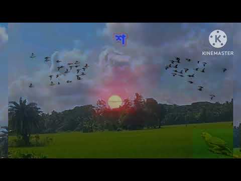 প্রভাতে উঠিয়া দেখ সবাই মিলিয়া। প্রকৃতির ভালোবাসা।