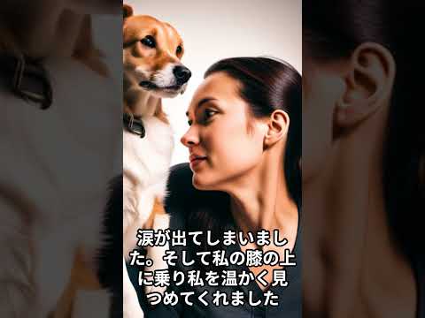 献身的なサポート。私の犬が私を支えてくれた瞬間 #shorts