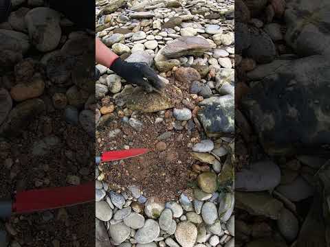 Metal Detector Jackpot! River Search Turns Into Big Cash! #gold #goldhunting