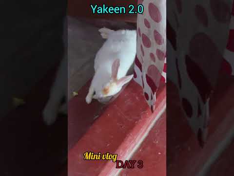 DAY 3 👩‍⚕️YAKEEN 2.0 PREPARATION l mini vlog l #neet2026 #minivlogminivlog  #saiyaara #yakeen2.0