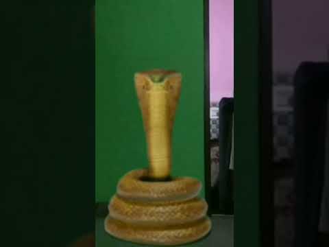nagin 7 new transformation effects