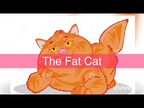 The Fat Cat Poem