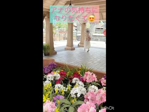 2025年の夏🌻関西のDオタがファンタジースプリングス💐フローズンキングダムのアレンデール城へ✨#ディズニーシー #ファンタジースプリングス #アナ雪