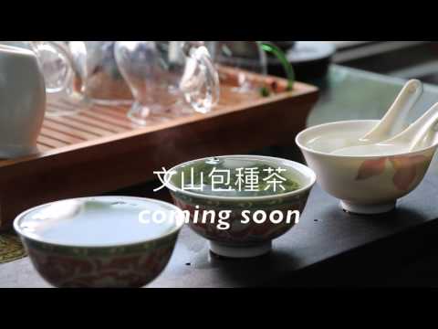 2017春茶預告