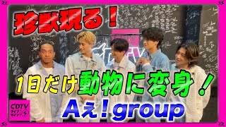 【CDTV】Aぇ! group⚡️変身したい動物は…え、なんの珍獣？