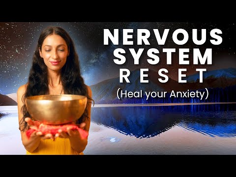 Parasympathetic Nervous System | Healing Frequency Music | Sound Bath Meditation (10 Hours)