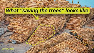 How We Still Have Any Trees Left
