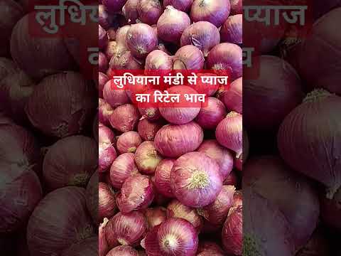 17 मार्च 2025 लुधियाना मंडी #लुधियानाप्याज का रिटेल भाव #viralvideo