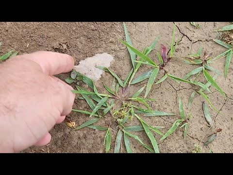 Coins, Silver and More!  Metal Detecting southern Ohio