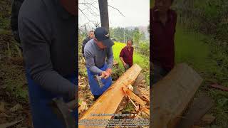 Shaping Logs: Amazing Old Woodworking Skills! 🪓💪