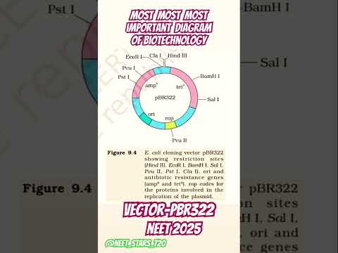 Most Important for neet 2025 Clonning vector -PBR322 #neet #success #topperlearning #mypreparation