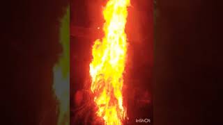 #happyholi#holikabhai #holikadahan#holispecial #trendingshorts#youtubeshorts#viralreels#festivalvibe