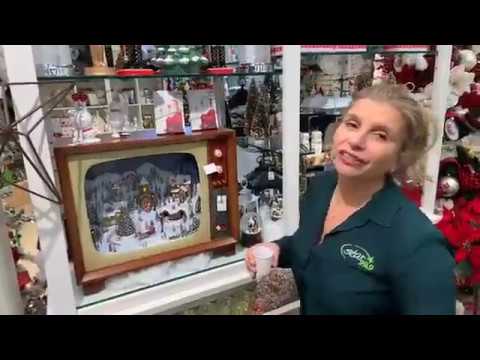✨Anna Stops by Palmer's Market  ✨