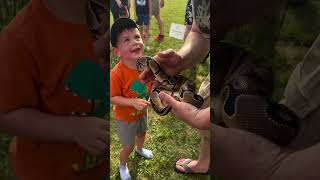 Petting #pets #snake #python #fun #family #farm #viralvideo #shorts #trending #phonkmusic #music