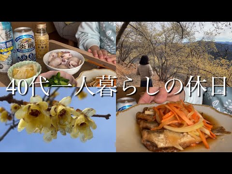 【40代一人暮らしの休日】ロウバイ/菜の花の辛子和え/日本酒