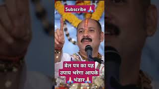 बेल पत्र का महा उपाय#upay #motivation  #pradeepmishralivetoday #प्रदीपमिश्राकीशिवपुराणlivetoday