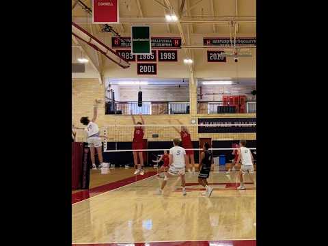 Find those gaps 👀 #volleyball #highlights #harvard #bounce #haikyu #volleyballworld #subscribe