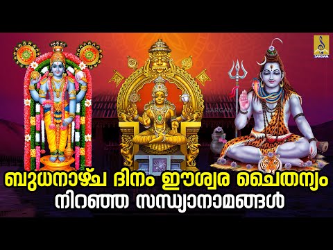 🔴 (LIVE) ബുധനാഴ്‌ച ദിനം ഈശ്വര ചൈതന്യം നിറഞ്ഞ സന്ധ്യാനാമങ്ങൾ | Hindu Devotional Songs #devotional