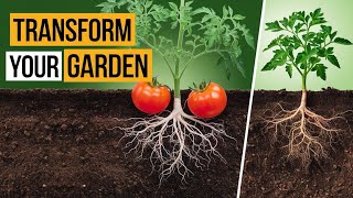 🌱 5 Soil Secrets That Will TRANSFORM Your Garden (Every Plant Will Thank You!)