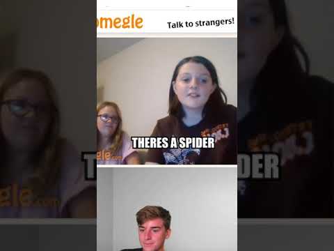 SPIDER JUMPSCARE ON OMEGLE! #shorts