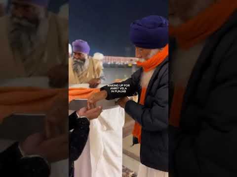 #Waheguru#Satnam#Shabad#Punjab#shorts#Youtubeshorts