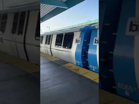 Bart at Bay Fair