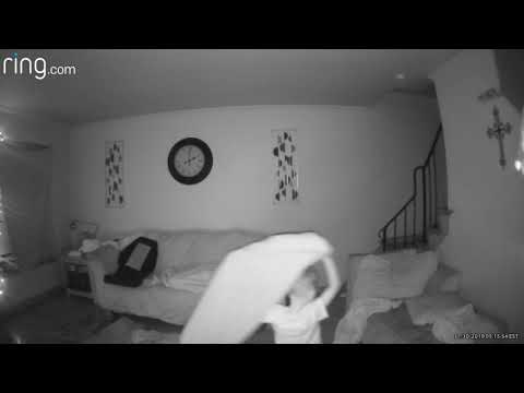 Orb activity continued