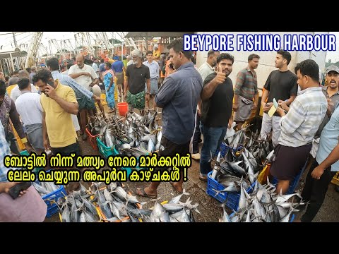 ബേപ്പൂർ ഫിഷിങ് ഹാർബറിലെ മൽസ്യ മാർക്കറ്റും അതിരാവിലെയുള്ള തിരക്കും, ലേലം വിളികളും