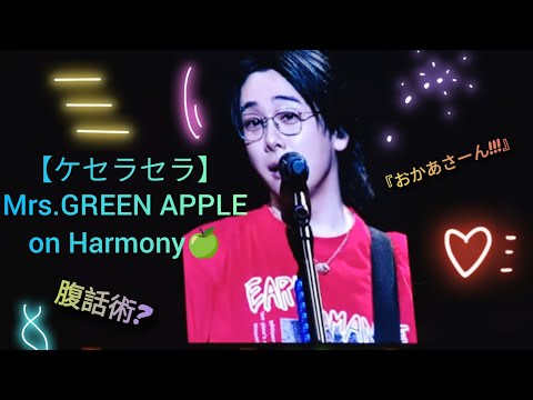 【12.ケセラセラ】腹話術フル　LIVE撮影許可　Mrs.GREENAPPLE  on  "Harmony"  2024.10.15   #ミセスハーモニー