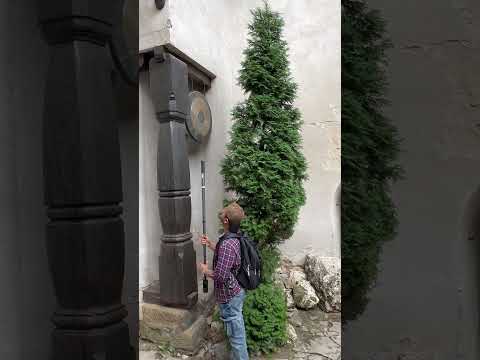 #shorts #romania  #best360camera  #travel  #bucharest  #360camera  #sinhala #360video  #brancastle