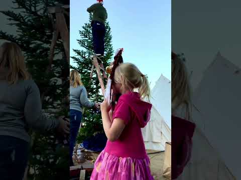 Our successful pacific northwest Christmas tree hunt! #shorts