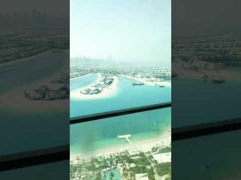 | Wanderer | Atlantis The Palm #palm #ytviral #fypyoutube #mustvisitplaceinuae #jumeirah