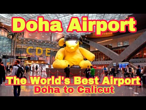Doha Hamad International Airport Walking Tour | Doha to Calicut | World's Best Airport