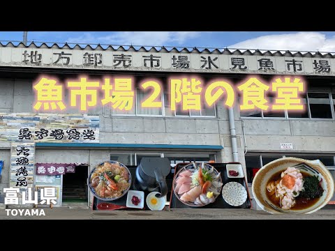 富山県観光☆魚市場食堂は市場の２階にある食堂！朝には競の見学！Toyama Prefecture sightseeing! Restaurant at the fish market