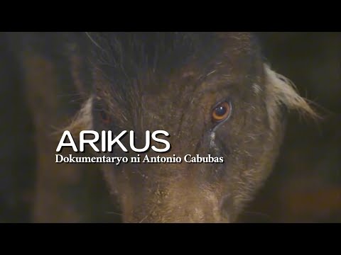 Arikus | Dokumentaryo ni Antonio Cabubas