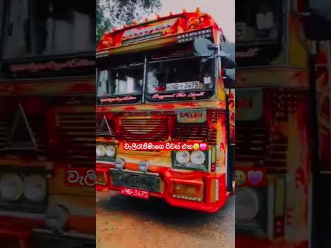 වැලිරැජිණි 2024 අලුත් අප්ඩේට් එකෙන් පස්සෙ🙂💗#kasiya_bus_kingdom #dhamrejini #trending #viral #bus