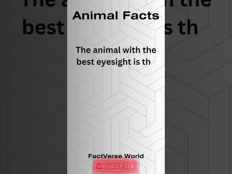 Animal Facts