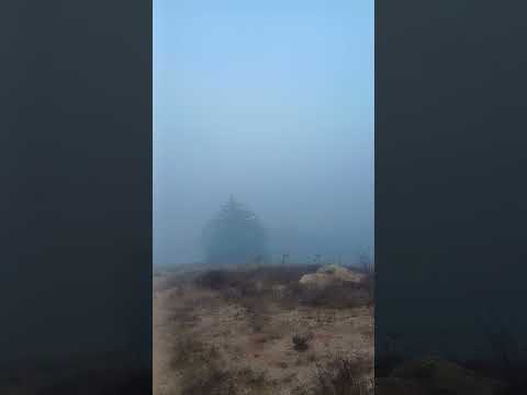 el tabo - neblina - mañana #nature #playa #eltabo #tabito #sunset #cielo #tabo