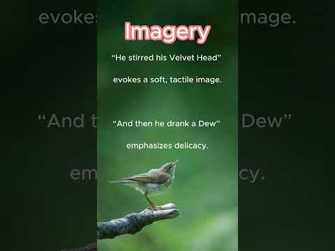 a bird came down techniques විනාඩියෙන්  #englishliterature #poetry
