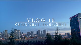 study vlog 10
