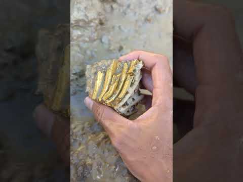 lucky gold find #goldhunter