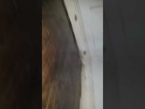 Floor stain on trim