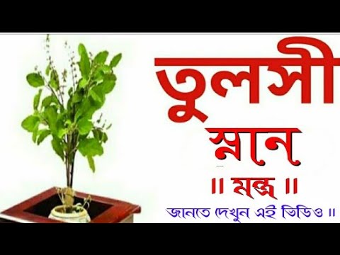 তুলসী গাছে জল দেওয়ার মন্ত্র || Tulsi snan mantra in bangla || #Tulsimantrainbengali
