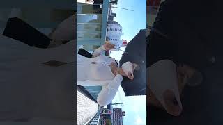 季節外れのノーブラ散歩